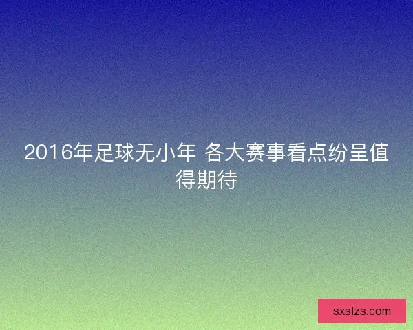 2016年足球无小年 各大赛事看点纷呈值得期待