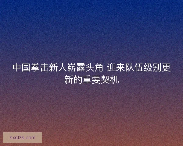 中国拳击新人崭露头角 迎来队伍级别更新的重要契机