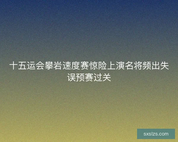 十五运会攀岩速度赛惊险上演名将频出失误预赛过关